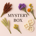 Mystery Box | Description Update
