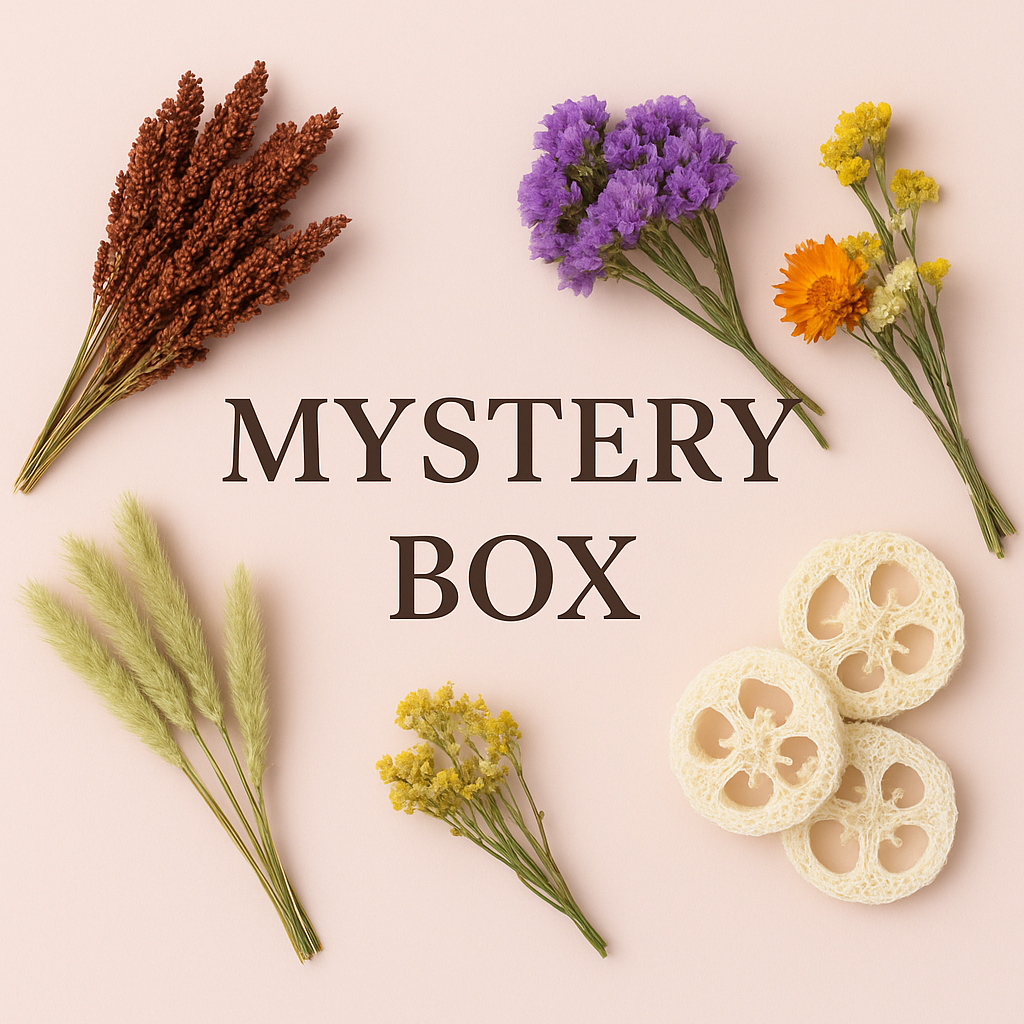 Mystery Box | Description Update