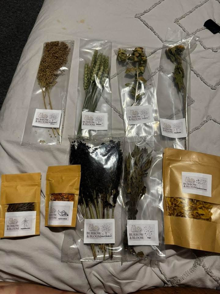 Mystery Box | Description Update