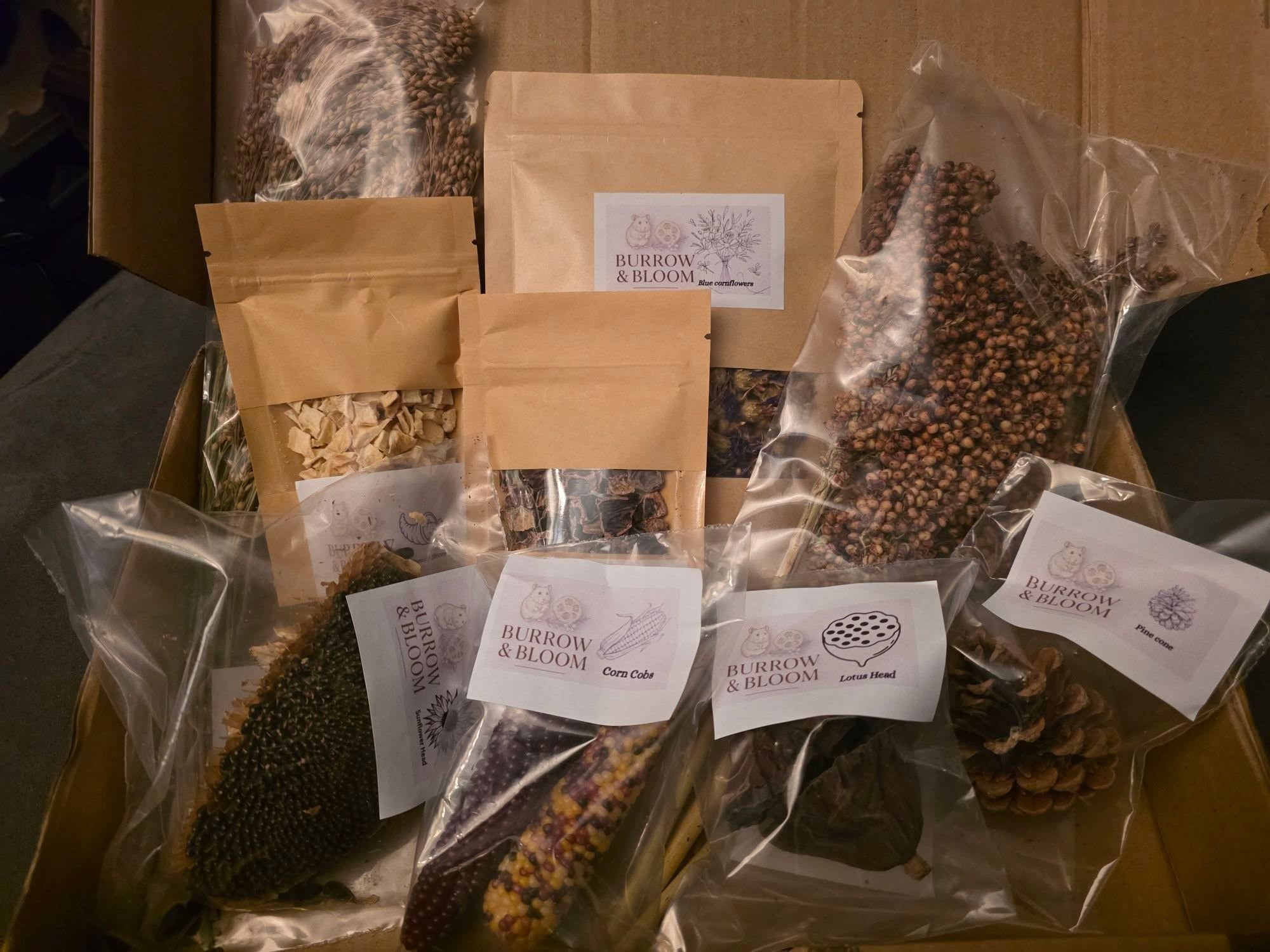 Mystery Box | Description Update
