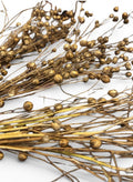 Flax- Unsorted