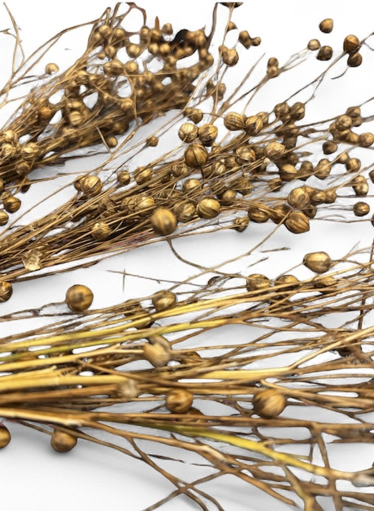 Flax- Unsorted