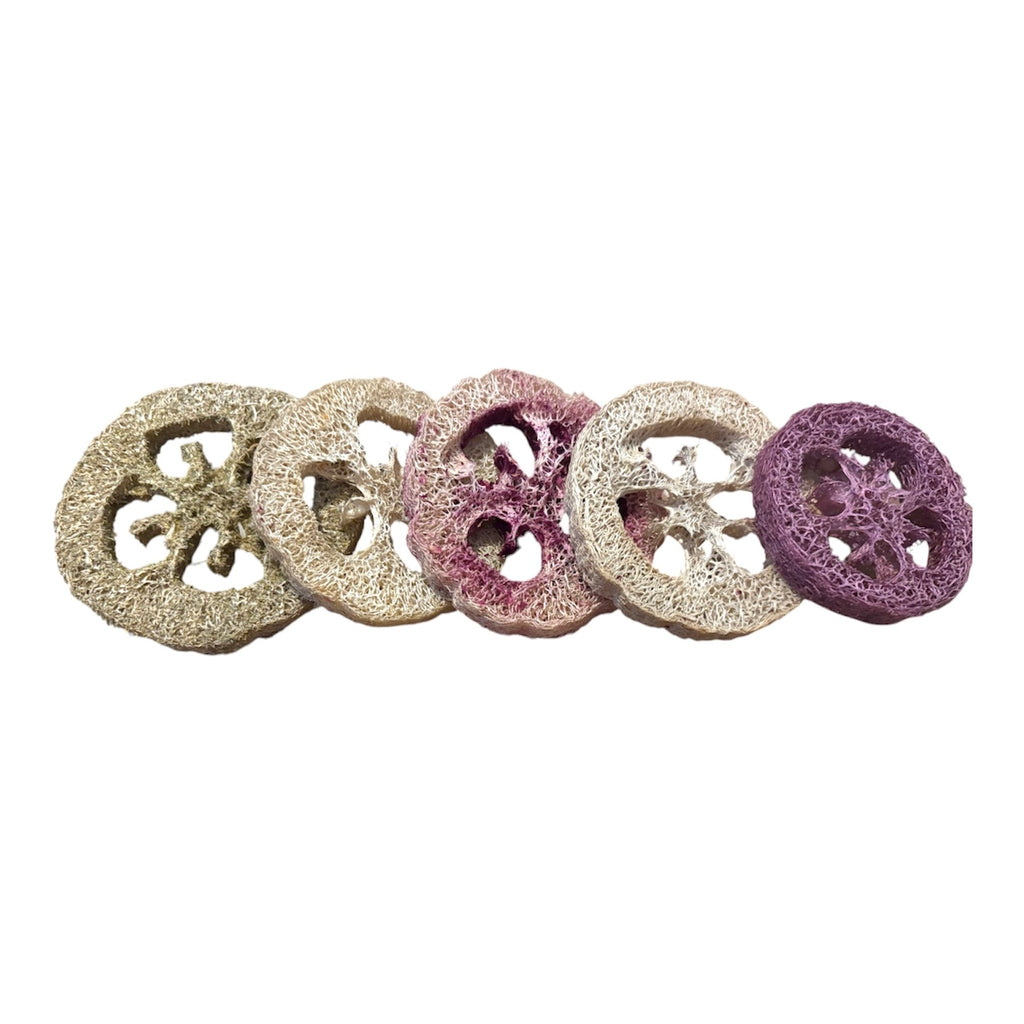 Giant Flavoured Loofah for Small Animals