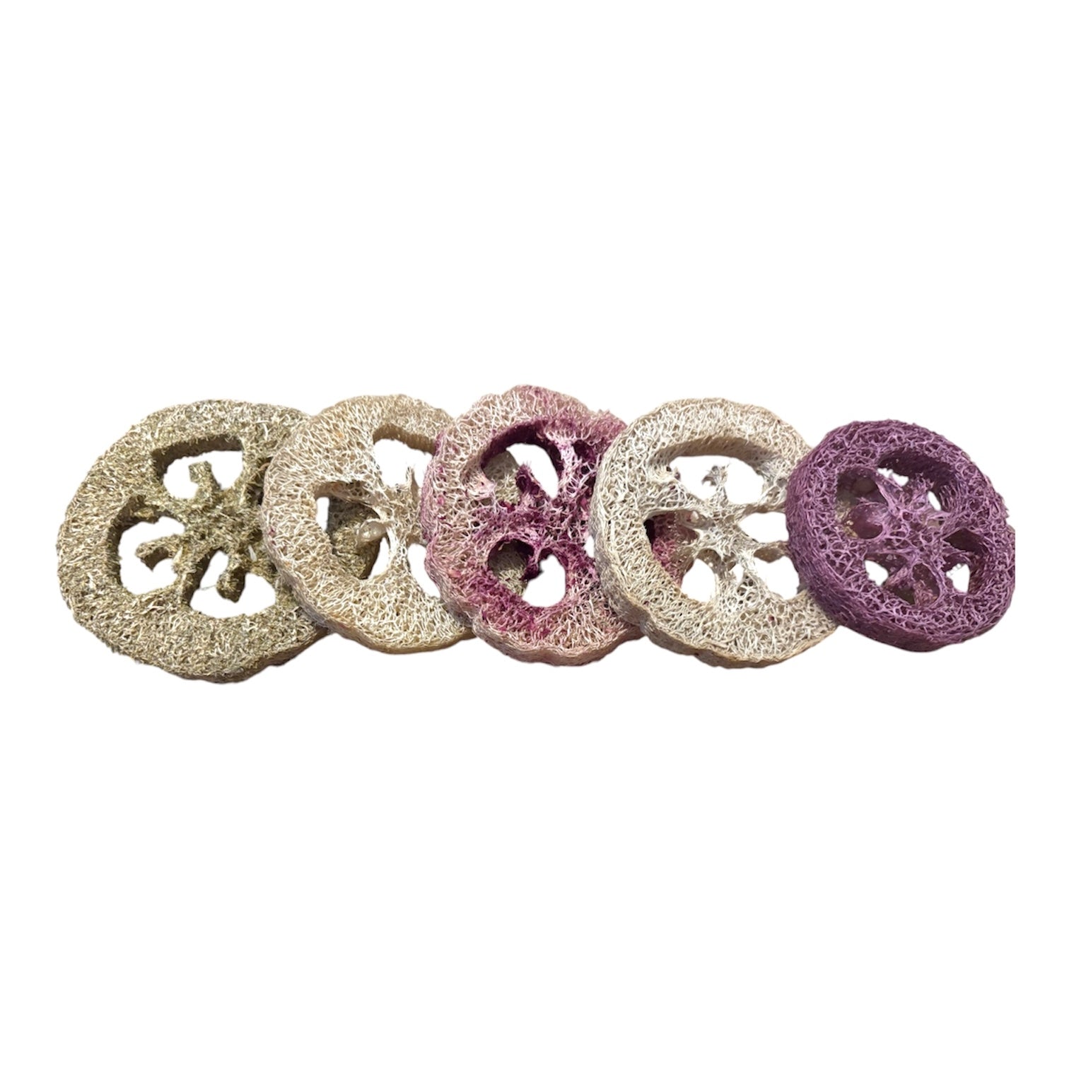 Giant Flavoured Loofah for Small Animals