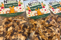 Tasty Veggie Trio for Small Animals