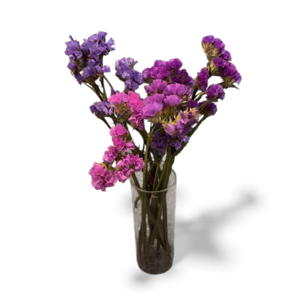 Purple Statice Flowers