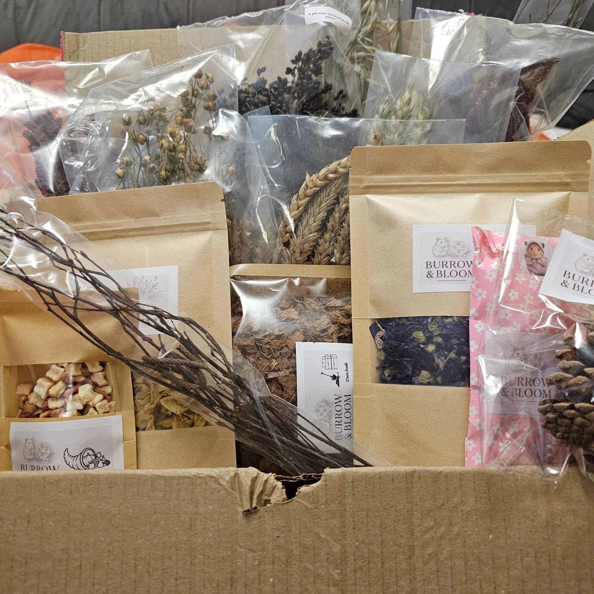 Mystery Box | Description Update