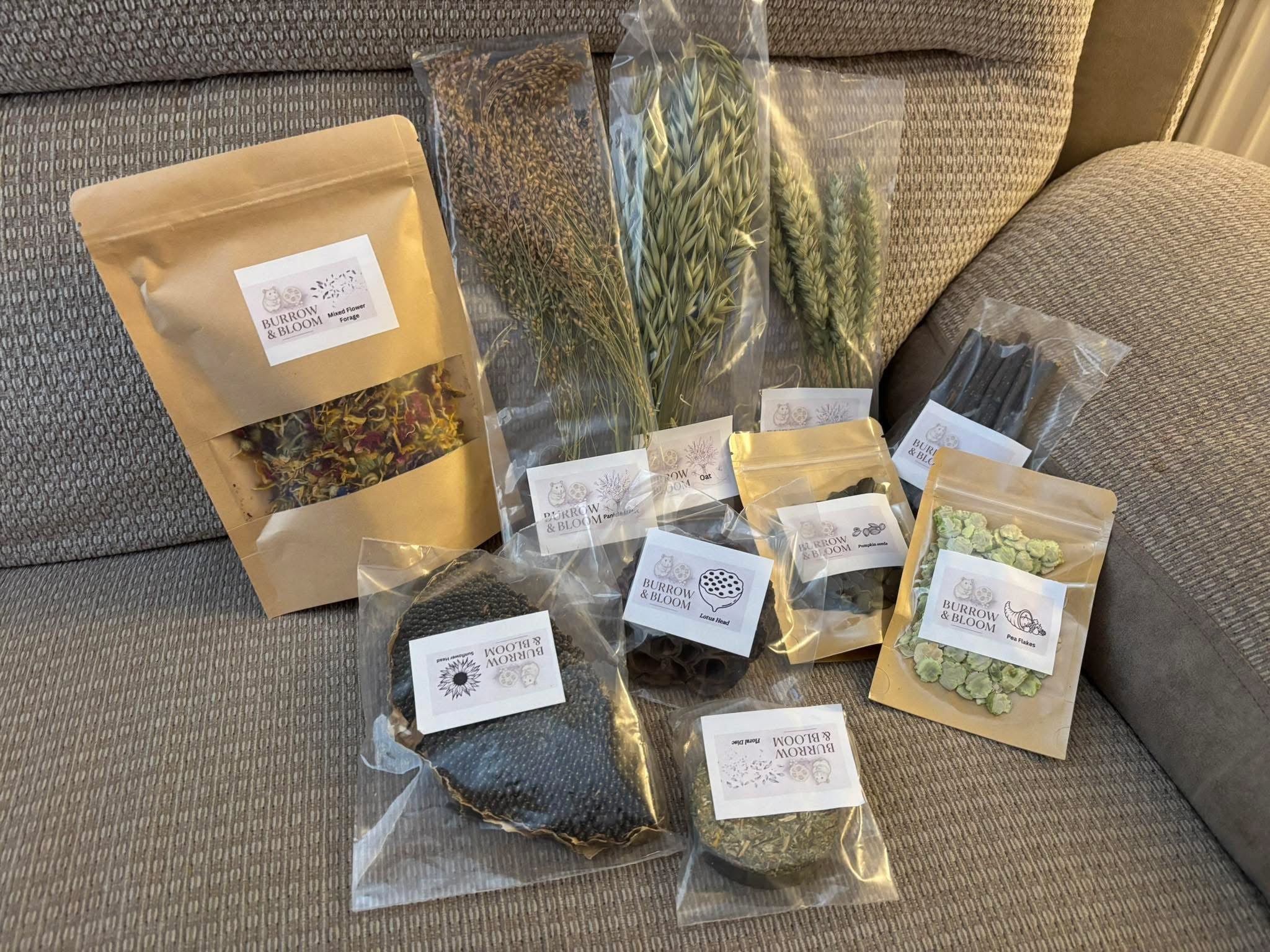 Mystery Box | Description Update