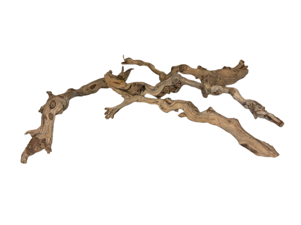 Sandblasted Grapevine Branches