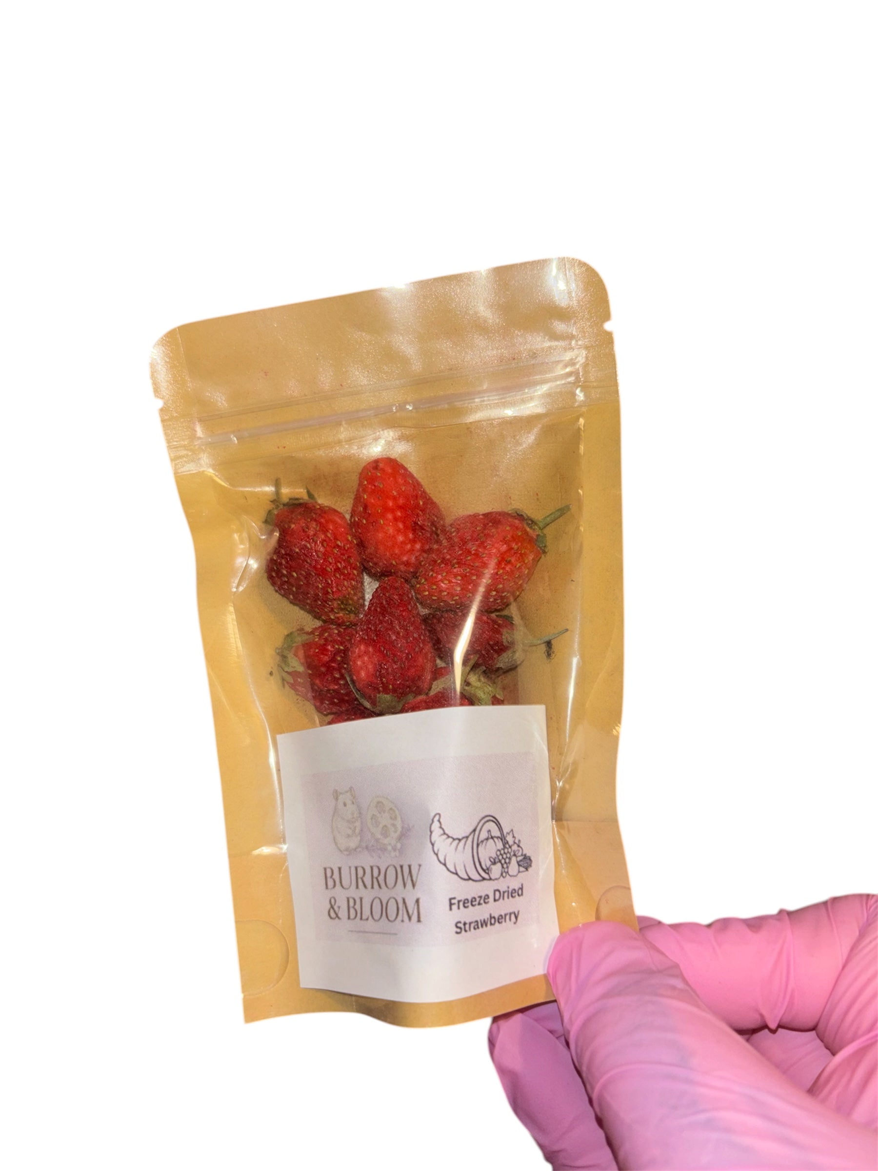 Freeze Dried Strawberries