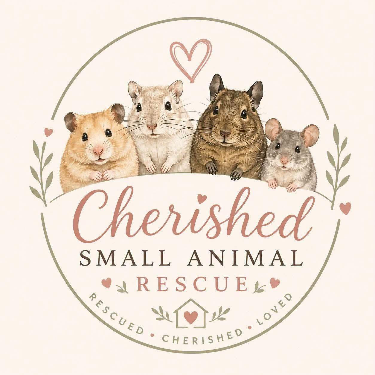 Donation Box - Cherished Small Animal Rescue
