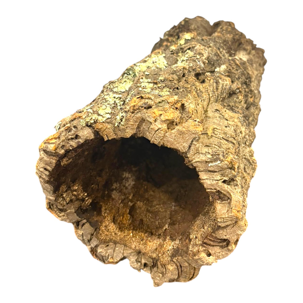 Large Cork Logs for Small Animals