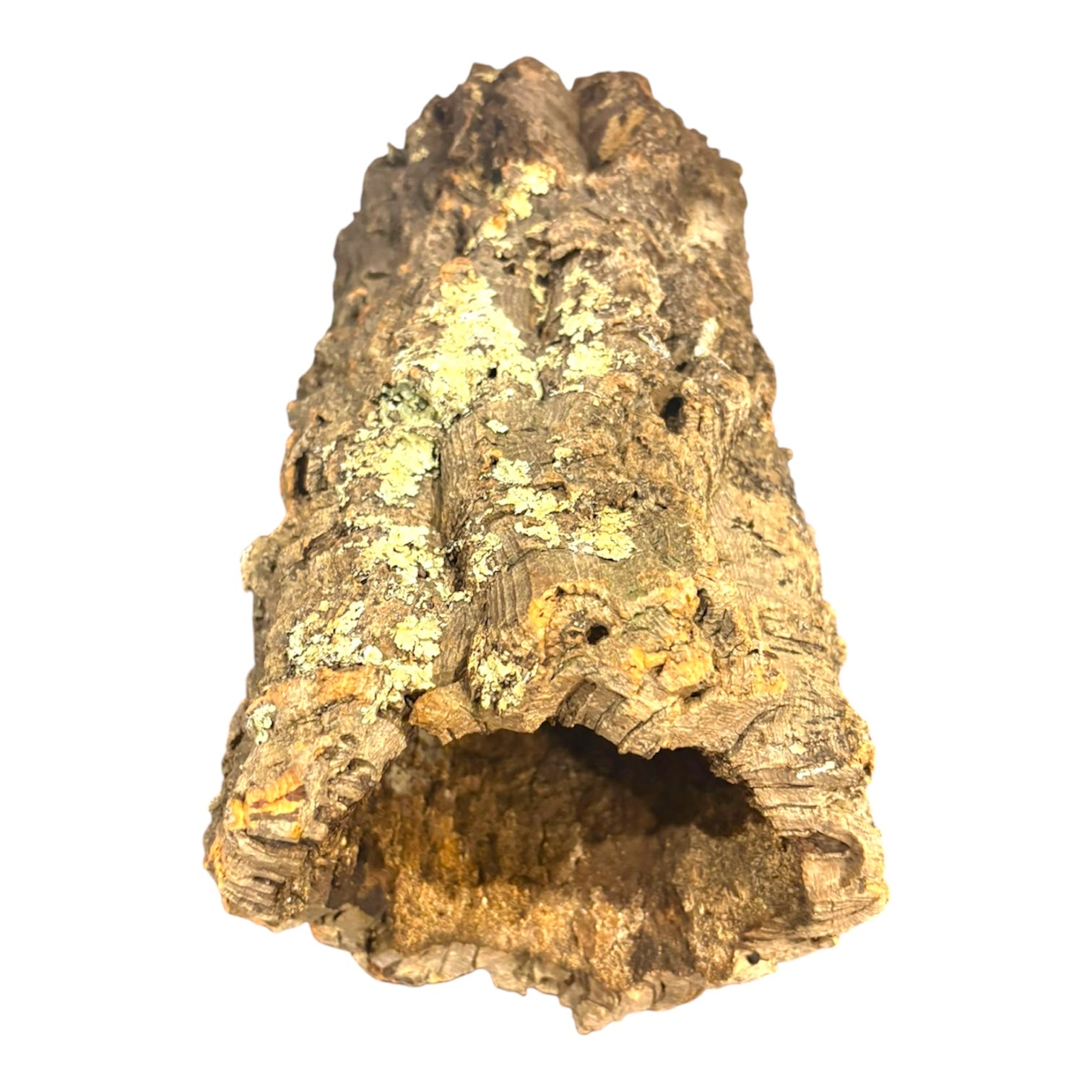 Large Cork Logs for Small Animals