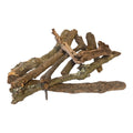 Random Branch | Small