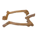 Single Stem Java Branch for Small Animals | <35cm