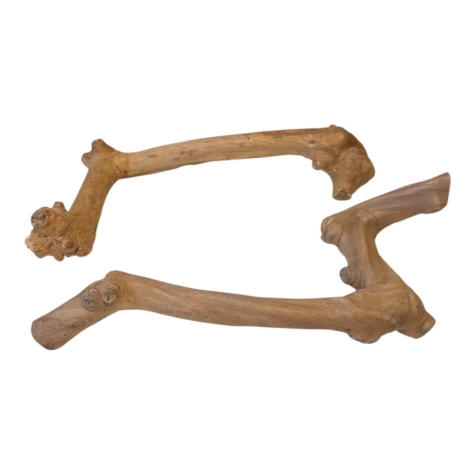 Single Stem Java Branch for Small Animals | <35cm