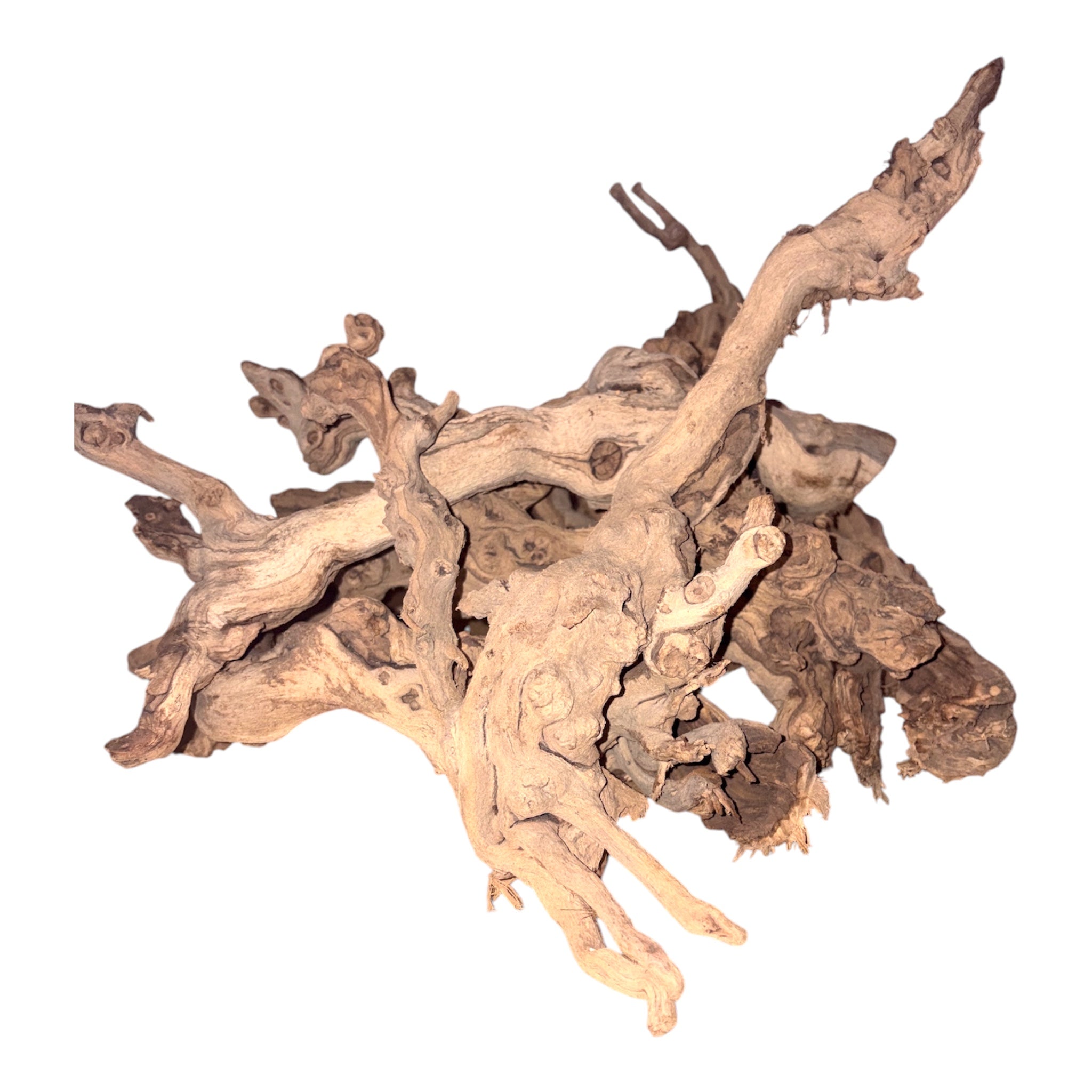 Sandblasted Grapevine Branches
