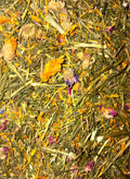 Spring Forage Mix for Small Animals | 50g