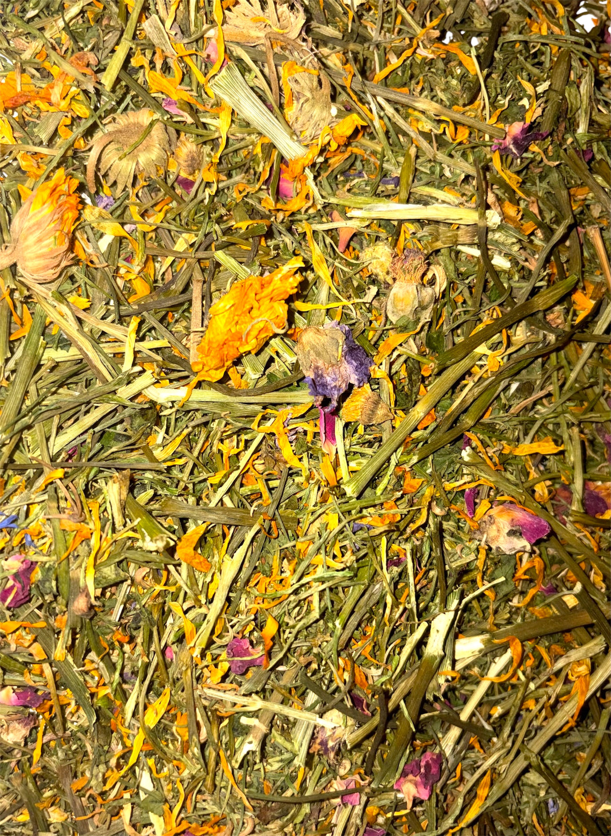 Spring Forage Mix for Small Animals | 50g