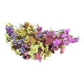 Mixed Statice Sprays for Hamster Enclosure Decoration | 10g