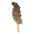 White Sorghum