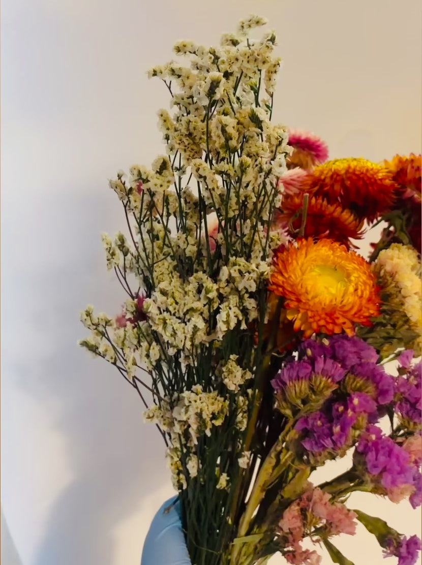 Surprise Flower Spray Bundle for Hamsters